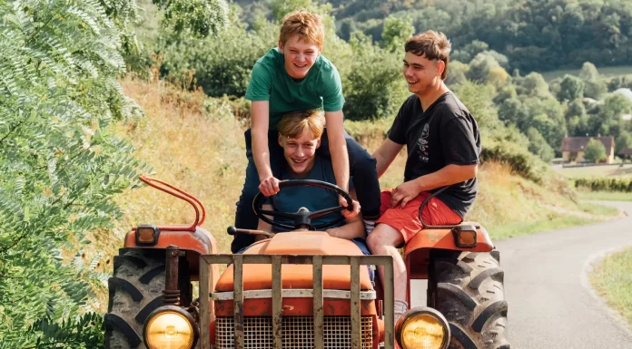 Vingt dieux : comté sur lui !